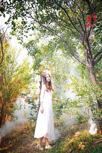 惜花芷电视剧免费观看完整版