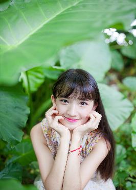 2025年天天免费资料百度中文