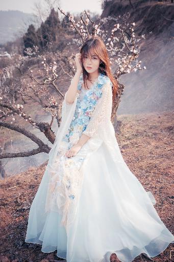 老舅电视剧全集免费观看高清