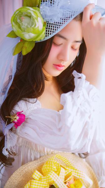 国产免费观看高清电视剧大全