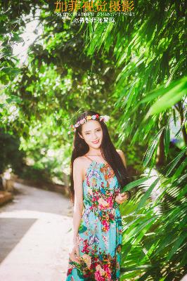 黎明之前电视剧免费观看完整版