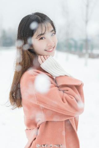 树下有片红房子电视剧免费观看全集